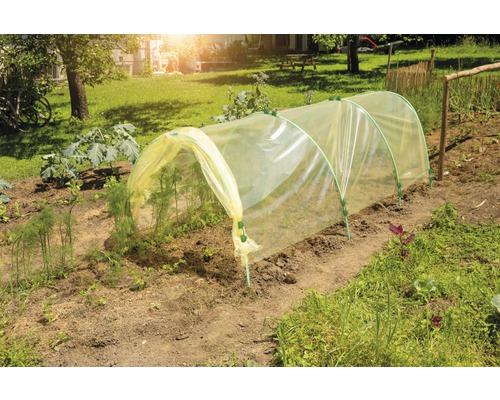 PE-Folie gelb Tunnelfolie Treibhausfolie Frühbeet-Folie Windhager Meterware 6 x 60 m Gemüsegarten mit Folientunnel für Pflanzenanbau