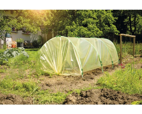 Gewächshaus-Tunnel im Garten zur Pflanzenzucht