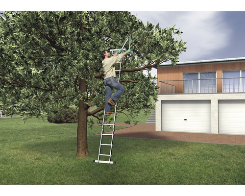 Eine Person steht auf einer Leiter und schneidet mit einer Astschere einen Baum.