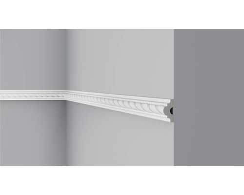 Profipack Wandleiste CO1, 20 x 2 m, 20 x 40 mm