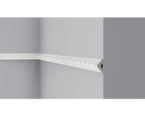 Profipack Wandleiste CO2, 20 x 2 m, 20 x 40 mm