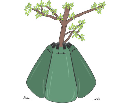 Illustration eines Baumes mit Bewässerungssack