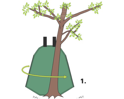 Illustration der Anwendung eines Wühlmausschutzes um einen Baumstamm.