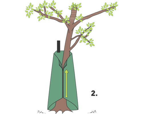 Illustration eines Baumes mit einem Frostschutzsack und einem Pfeil, der die Richtung des Reißverschlusses anzeigt.