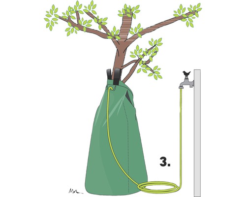 Illustration eines Baumes mit Bewässerungssack und angeschlossenem Gartenschlauch