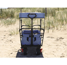 Bollerwagen axi faltbar mit Dach, Tasche, Bremse und Stange blau