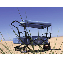Bollerwagen axi faltbar mit Dach, Tasche, Bremse und Stange blau