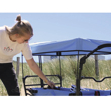 Bollerwagen axi faltbar mit Dach, Tasche, Bremse und Stange blau