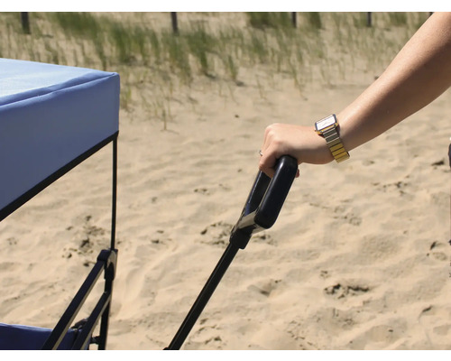 Eine Person zieht einen Bollerwagen am Strand.