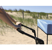 Bollerwagen axi faltbar mit Dach, Tasche, Bremse und Stange blau