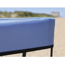 Bollerwagen axi faltbar mit Dach, Tasche, Bremse und Stange blau