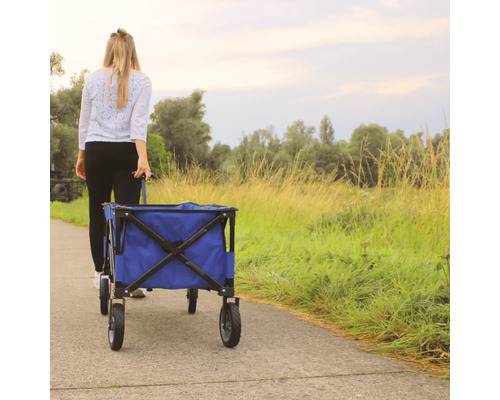 Frau zieht Bollerwagen auf einem Weg