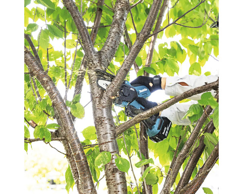 Eine Person schneidet einen Baumast mit einer Akku-Kettensäge von Makita.