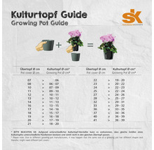 Kugeltopf Soendgen Manacor Keramik Ø 20 cm H 16 cm anthrazit matt