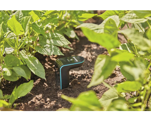 Gardena Smart Sensor im Beet zur Bodenfeuchtemessung
