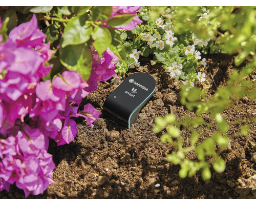 Gardena Smart Sensor im Pflanzbeet zur Bodenfeuchtemessung