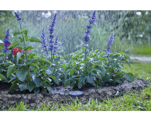 Bewässerungssystem für Pflanzen im Garten unter fallendem Regen