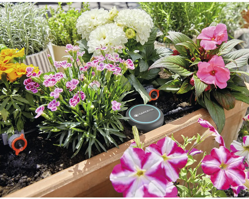 Blumenkasten mit verschiedenen Blumen und Gardena Micro-Drip-System zur Bewässerung