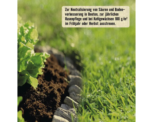 Gartenbeet mit Salat, Erde und Rasen zur Bodenneutralisierung