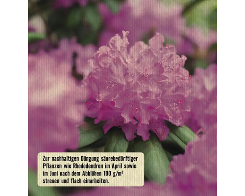 Moorbeetdnger FloraSelf Nature BIORGA organischer Dnger | HORNBACH