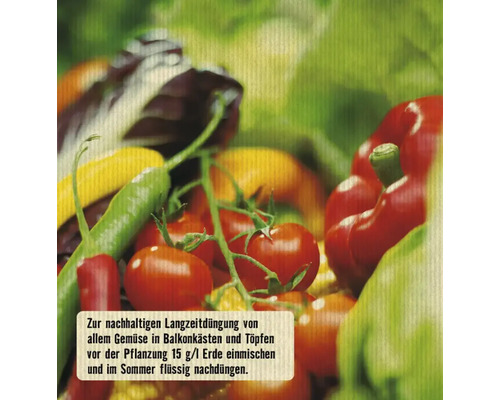 Gemüseauswahl zur Illustration von Gemüsedünger