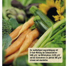 Hochbeet- & Gemüsedünger FloraSelf Nature BIORGA 4 kg organischer Dünger vegan-thumb-2
