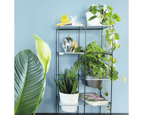 Dekoratives Regal mit Pflanzen und Deko-Objekten