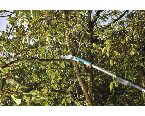 Gartensäge mit Teleskopstiel beim Schneiden eines Astes