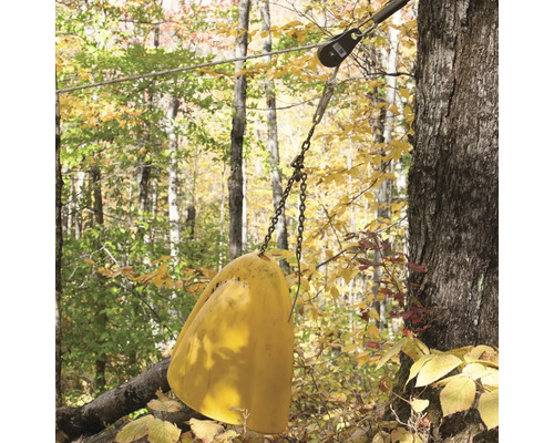 Baumschaukel mit Kettenaufhängung im Wald