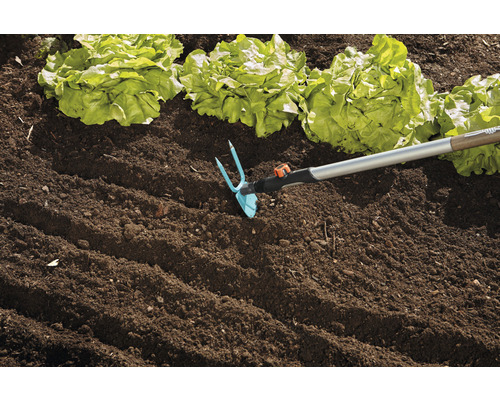 Gartenhacke im Einsatz neben Salatpflanzen