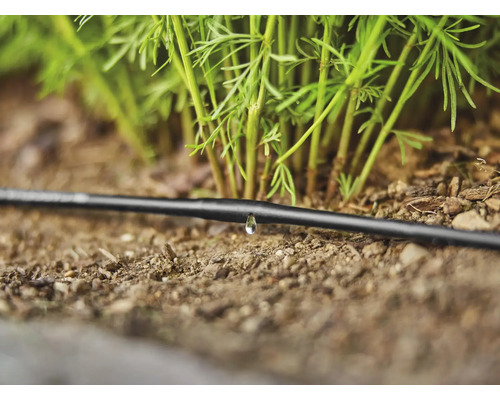 Tropfschlauch zur Gartenbewässerung mit Wassertropfen