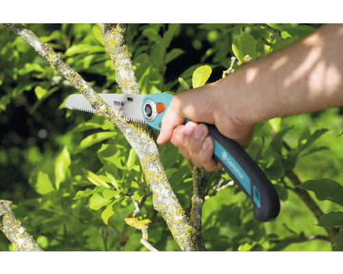Gartenarbeit mit einer Astsäge beim Beschneiden eines Baumastes