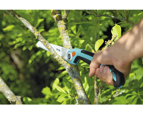 Gartensäge im Einsatz zum Beschneiden eines Astes