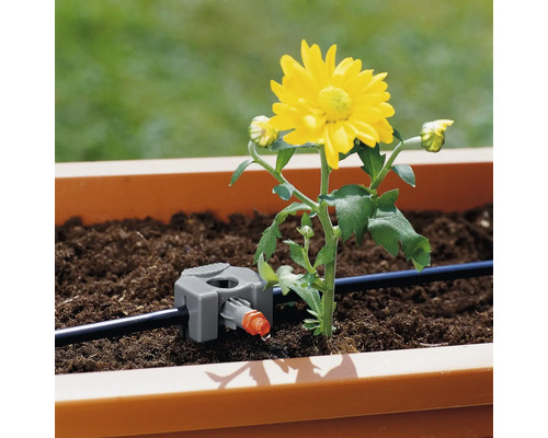 Blumentopf mit Tropfbewässerung und gelber Blüte