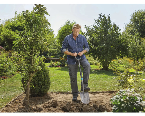 Mann gräbt mit Spaten im Garten ein Loch für einen Baum.