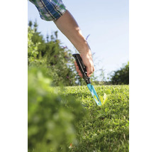 Gartenszene mit Hand die einen Unkrautstecher im Rasen benutzt