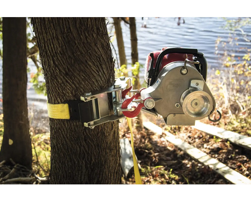 Tragbarer Seilzug befestigt an Baum mit Gurtband und Haken.