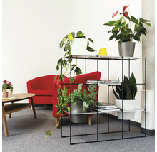 Dekoratives Wohnzimmer mit Regal, Pflanzen, Sessel und Tisch