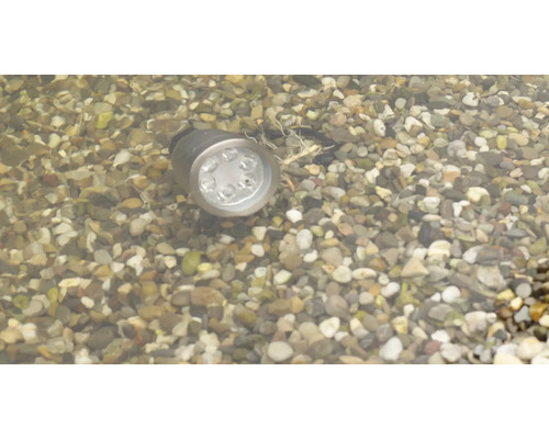 Unterwasser LED-Leuchte im Gartenteich