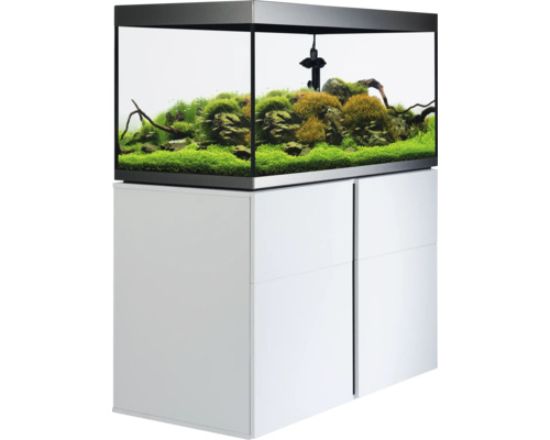 Aquarium mit Unterschrank und Innenausstattung