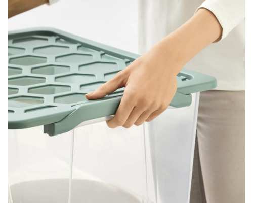 Person schliesst einen transparenten Aufbewahrungsbehälter mit einem Deckel.