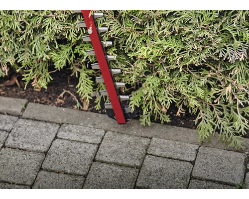 Heckenschere beim Schneiden einer Hecke