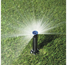 Bewässerungssystem Sprinkler im Rasen mit Wasserstrahl