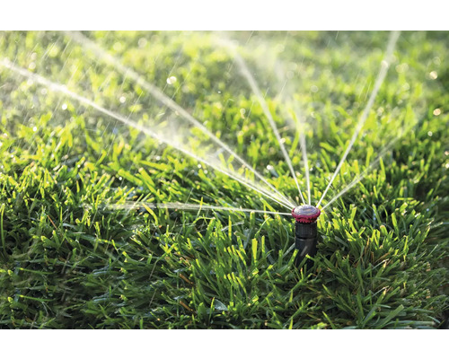 Rasensprenger beim Bewässern des Rasens