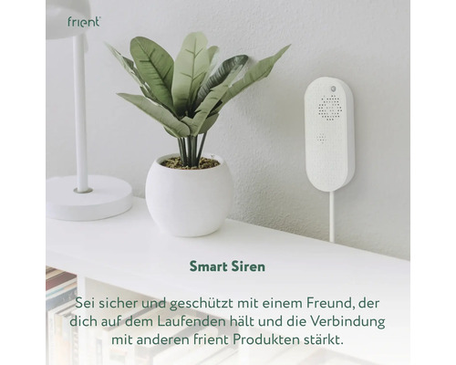 Smarte Sirene an der Wand neben Topfpflanze