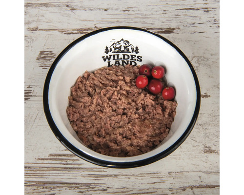 Schüssel mit Hundefutter und Cranberries