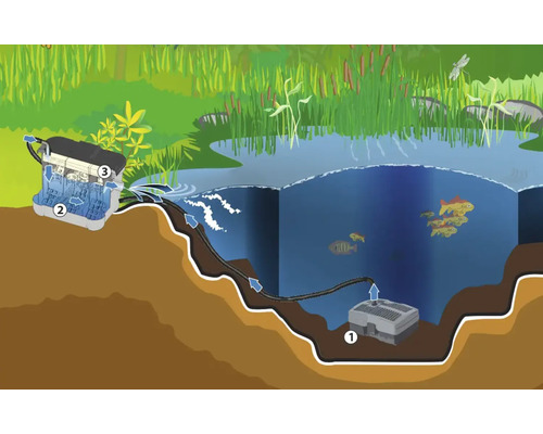 Illustration eines Gartenteichs mit Teichpumpe und Filteranlage zur Wasserreinigung