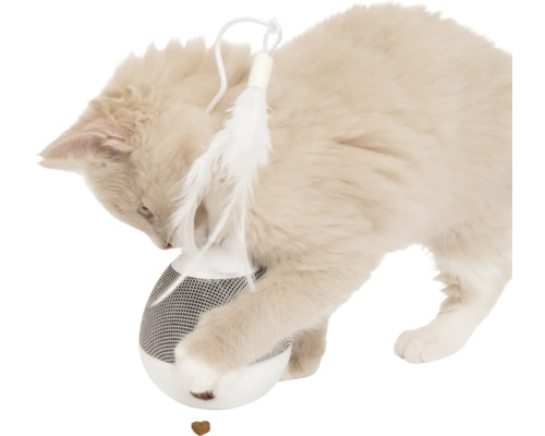 Katze spielt mit Futterball und Federangel