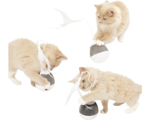 Drei Katzen spielen mit einem Spielzeugball mit Feder
