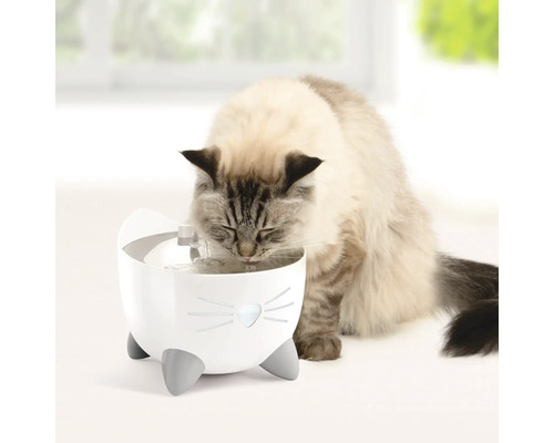 Katze trinkt aus einem Katzenbrunnen im Katzen-Design